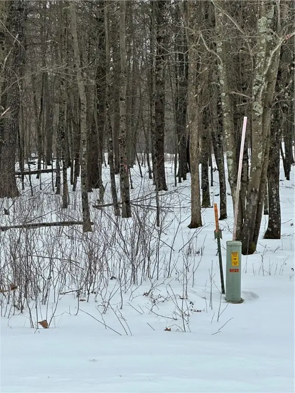 Lot 20 Betty Lane, Black River Falls, WI 54615 - #2