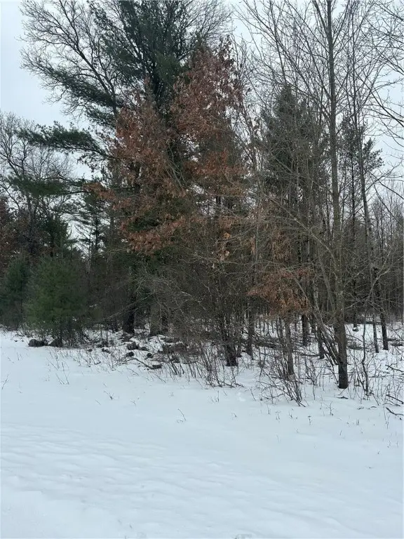 Lot 20 Betty Lane, Black River Falls, WI 54615 - #3