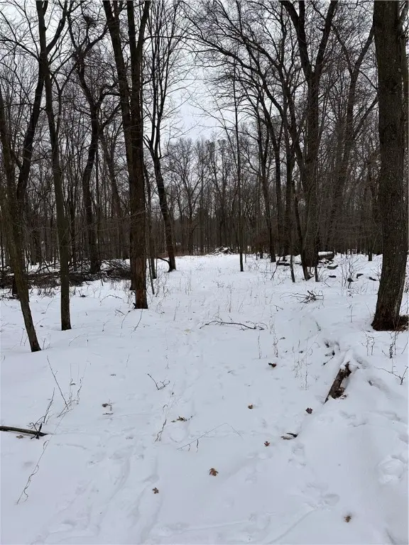 17085 E County Road D, Fall Creek, WI 54742 - #2