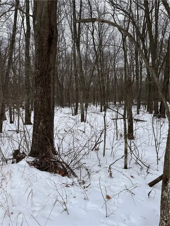 17085 E County Road D, Fall Creek, WI 54742 - #3