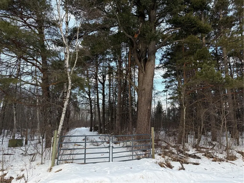 W6850 Girod Road, Ladysmith, WI 54848 - #1