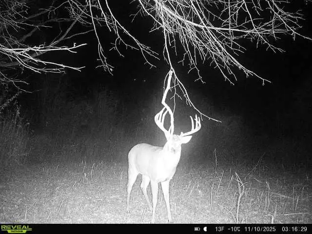 00 270th Avenue, Luck, WI 54853 - #1