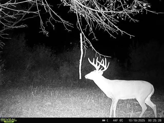 00 270th Avenue, Luck, WI 54853 - #2