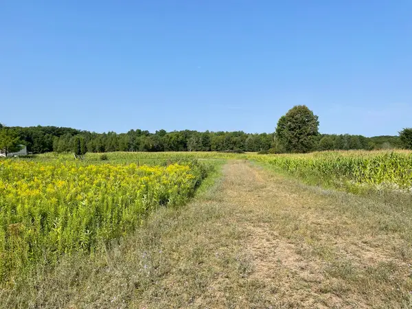 1768 290th Street, Cadott, WI 54727