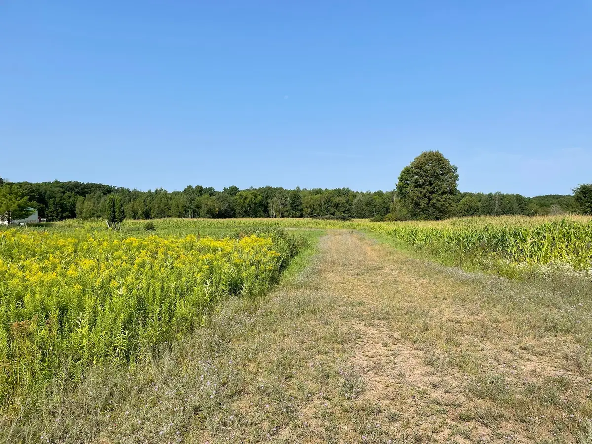 1768 290th Street, Cadott, WI 54727 - #1