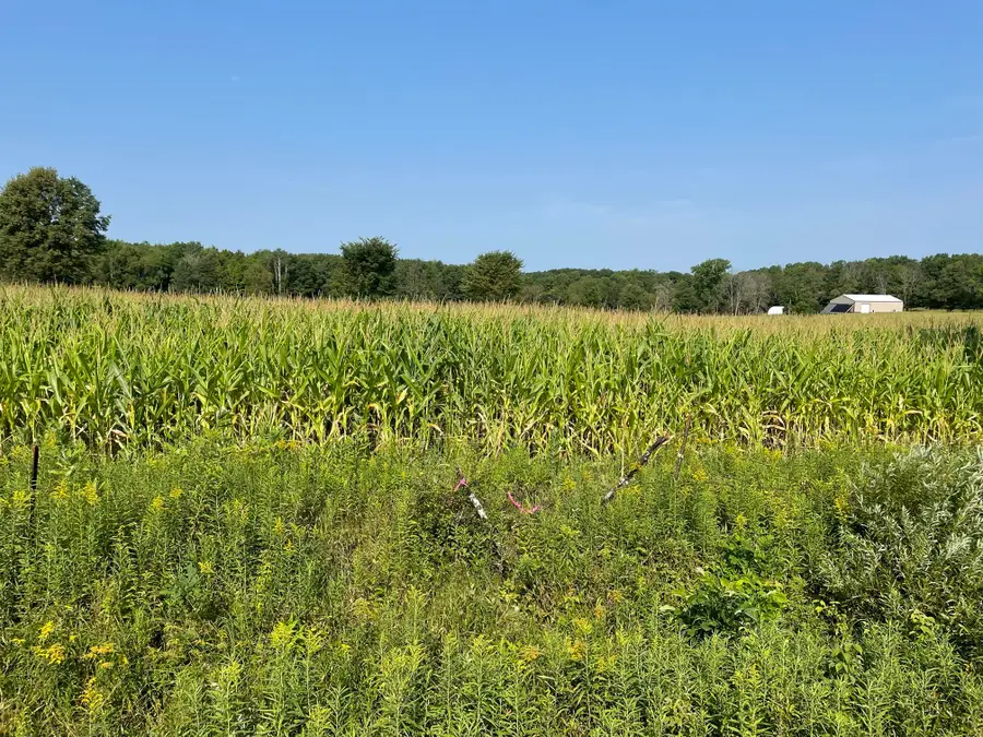 1768 290th Street, Cadott, WI 54727 - #2