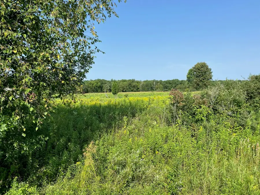 1768 290th Street, Cadott, WI 54727 - #3