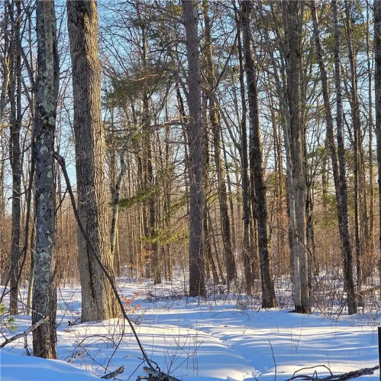 8829 Cty E Road, Hayward, WI 54843 - #3