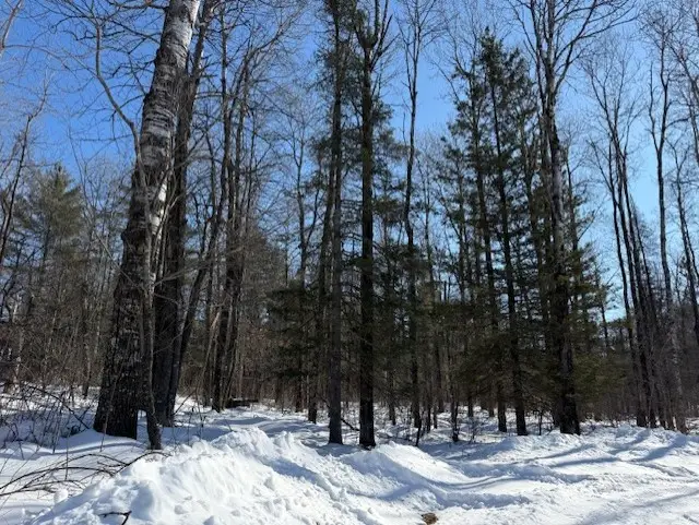 Lot 108 Willow Court, Cable, WI 54821 - #1