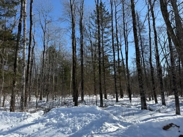 Lot 108 Willow Court, Cable, WI 54821 - #2