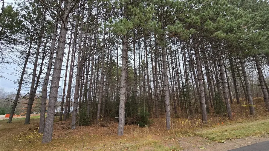Lot 1 Linden Road, Hayward, WI 54843 - #3