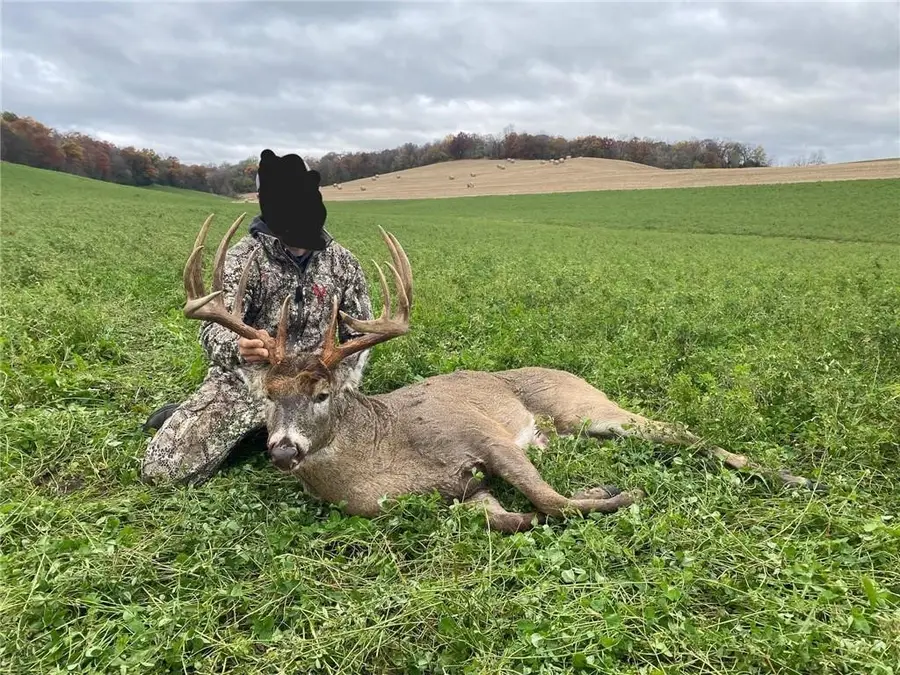 XXX State Rd 93, Arcadia, WI 54612 - #3