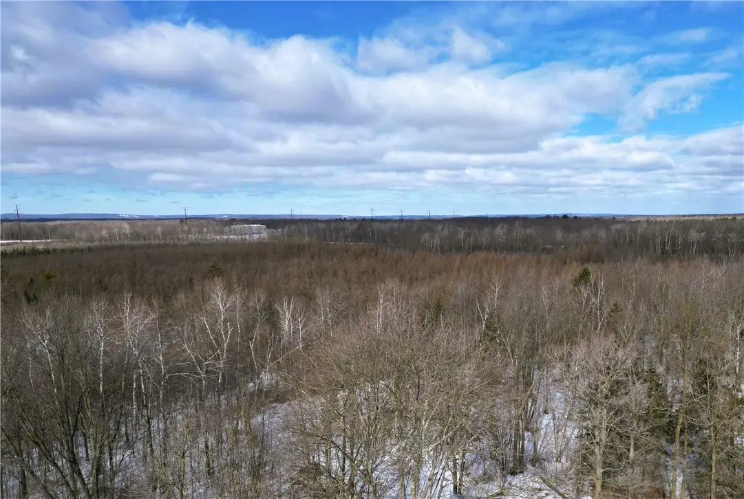 96+ Acres On White Birch Ridge Road, Ladysmith, WI 54848 - #1