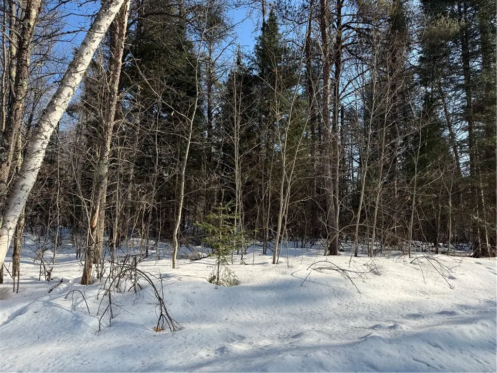 Lot 66 Hickory Court, Cable, WI 54821 - #1