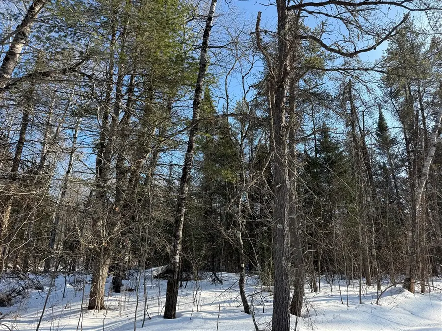 Lot 66 Hickory Court, Cable, WI 54821 - #3