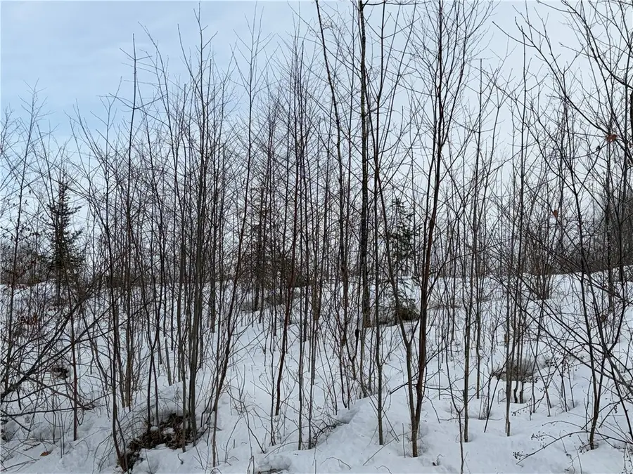 ON Forest Drive E, Ogema, WI 54459 - #2