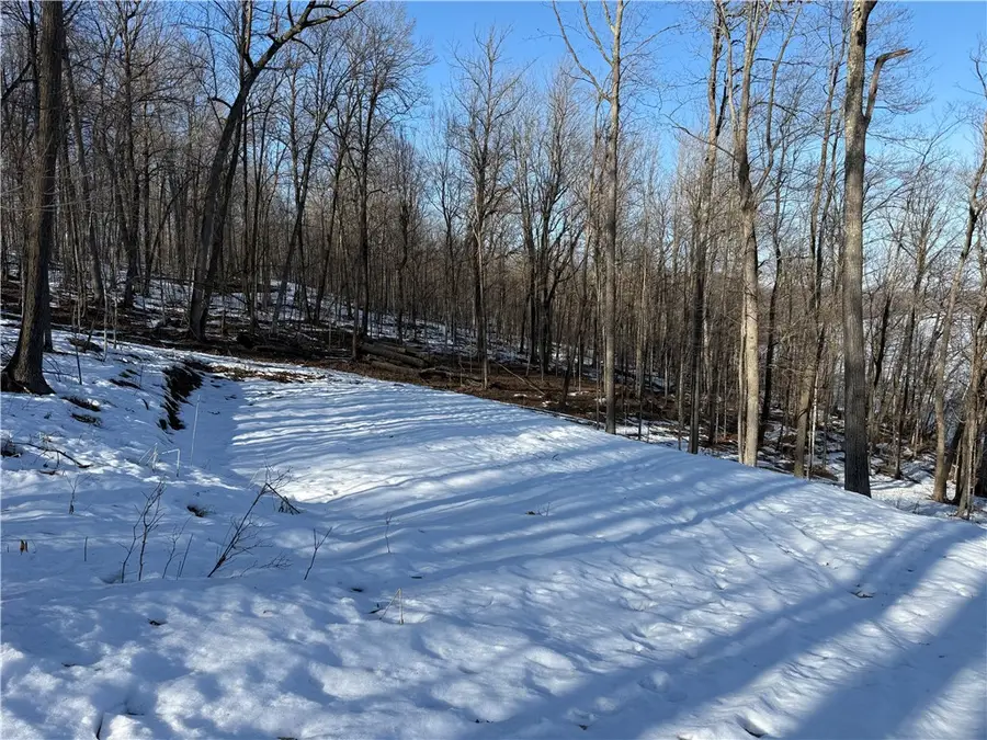 Lot 4 Balsam Drive, Birchwood, WI 54817 - #2