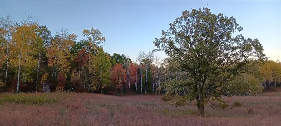 11116 N Blackberry Road, Trego, WI 54888 - #2