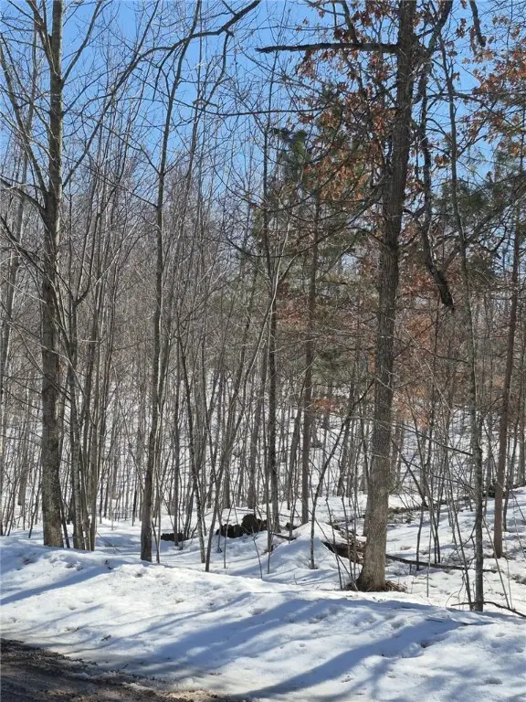 Lots 10 & 11 Wintergreen Trail, Danbury, WI 54830 - #1