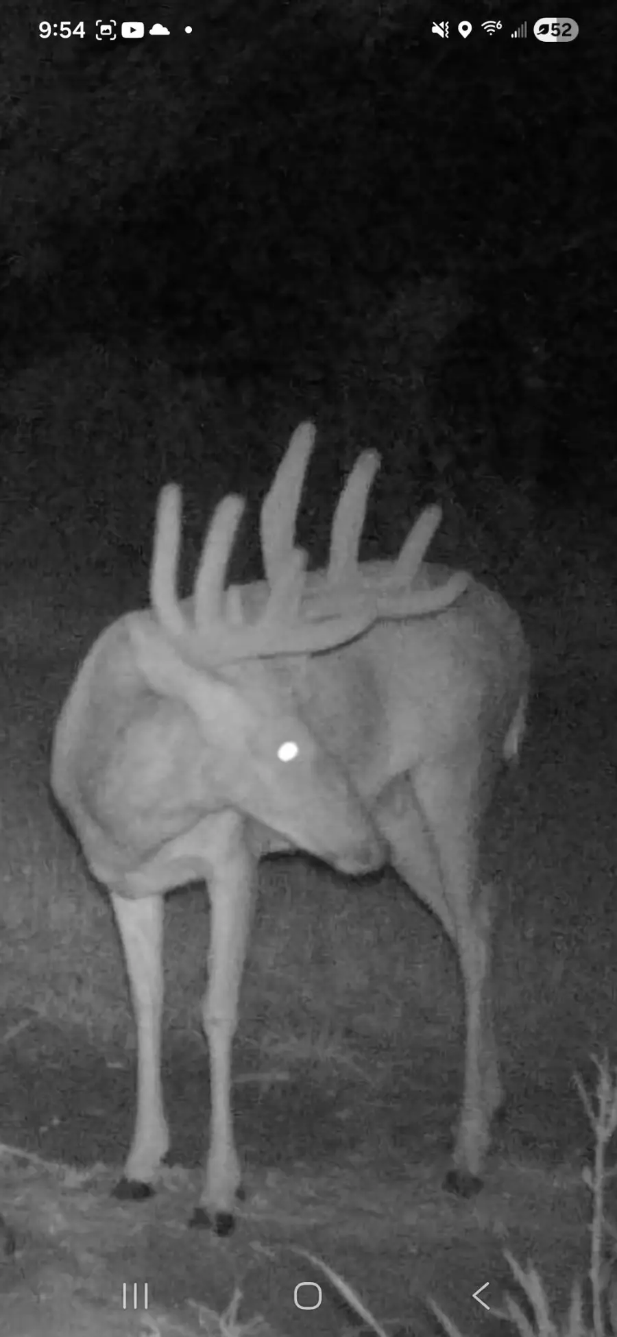 890 S Independence Road, Independence, WI 54747 - #2