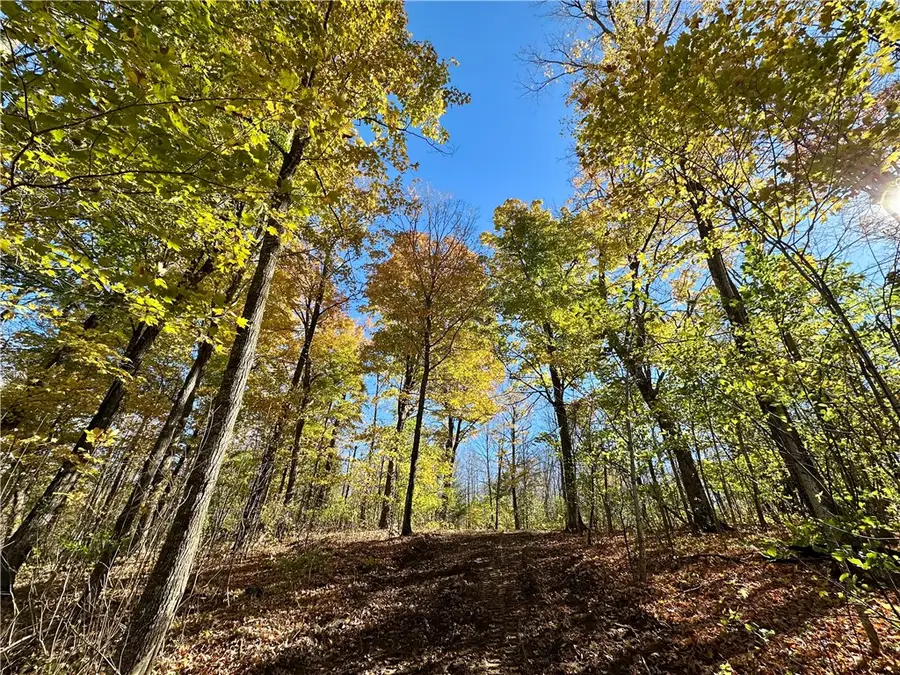 Lake Lot 7(3.73 Acres) Deer Lake Road, Exeland, WI 54835 - #2