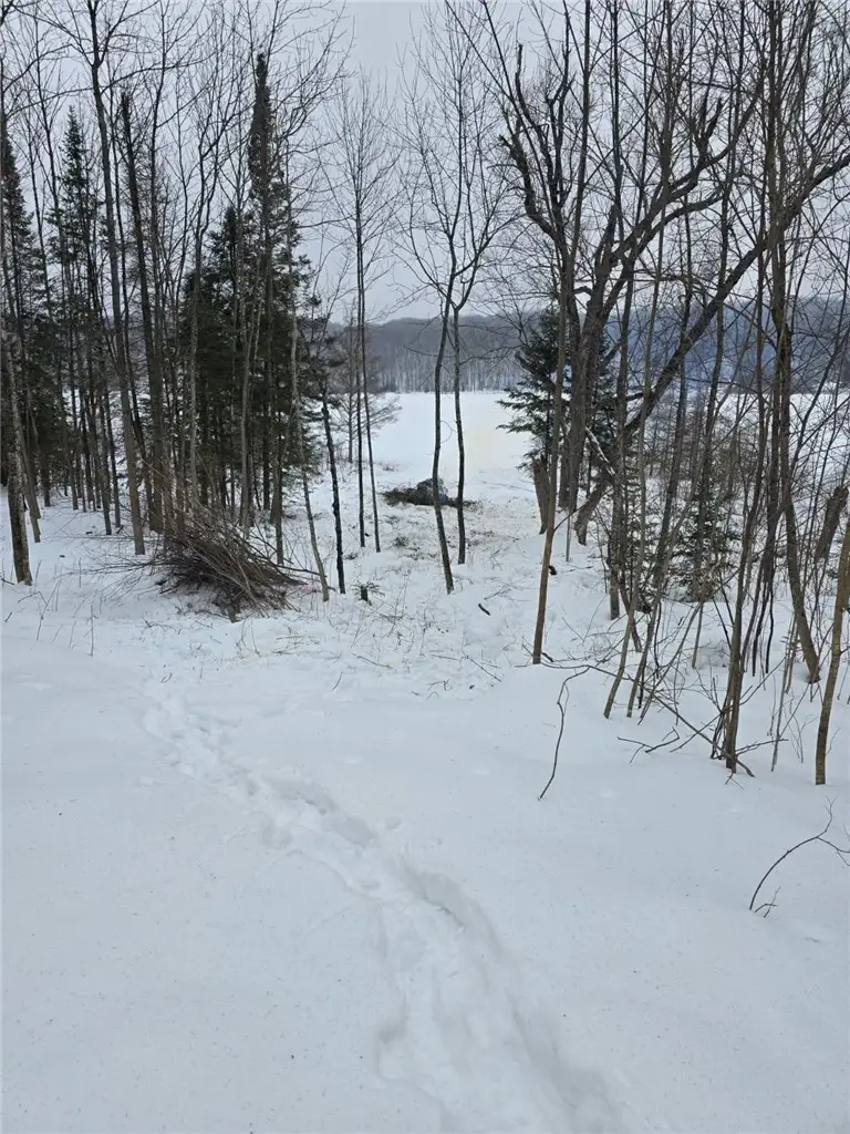 Lake Lot 7(3.73 Acres) Deer Lake Road, Exeland, WI 54835 - #3