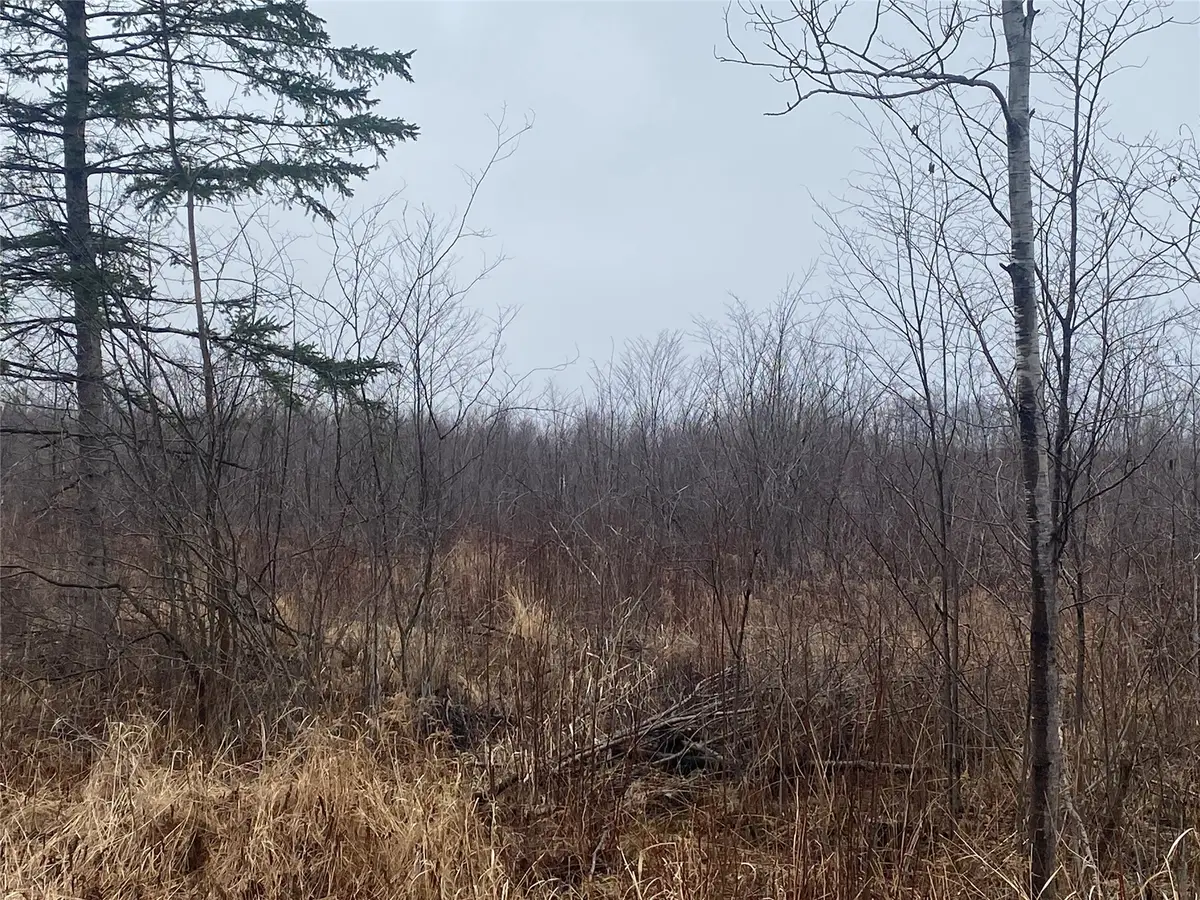 ON Shauger Road, Ogema, WI 54459 - #1