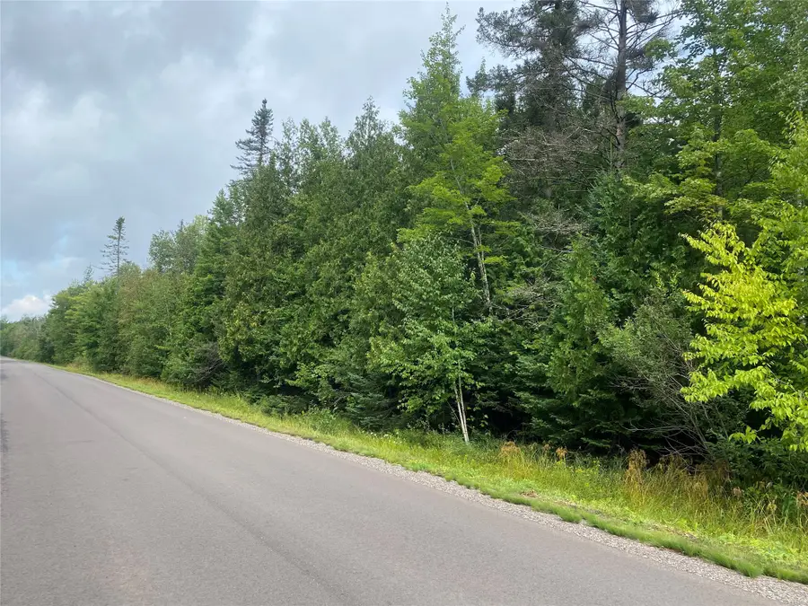 ON Maple Ridge Road, Park Falls, WI 54552 - #3