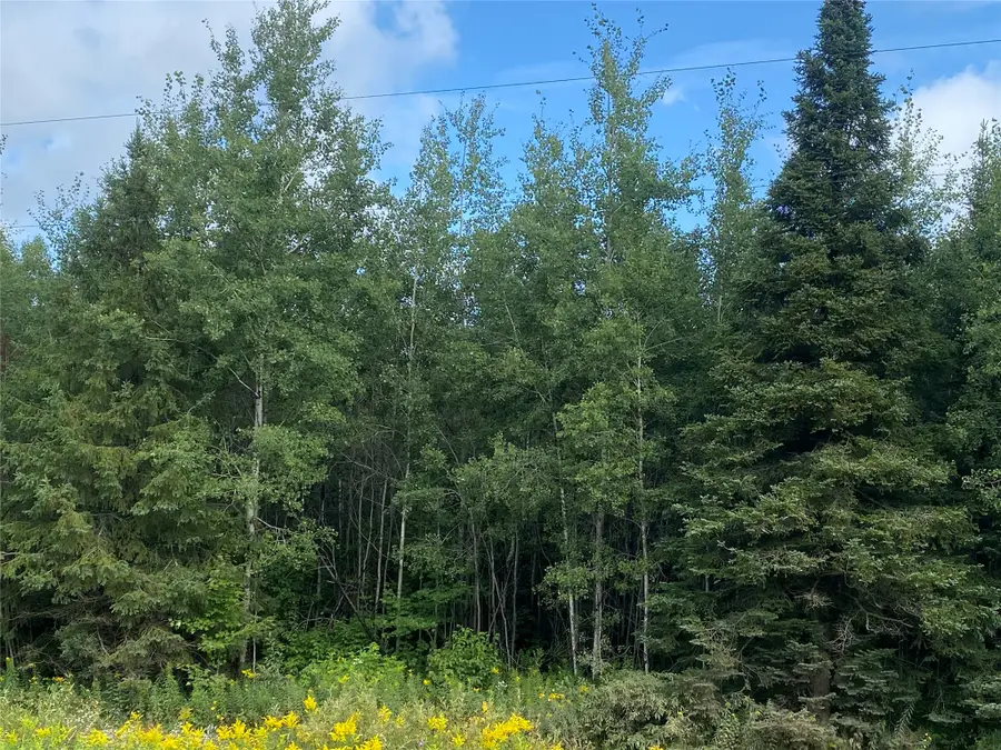 On County Highway E, Park Falls, WI 54552 - #3