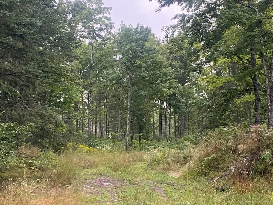 On Doland Road, Loretta, WI 54896 - #2