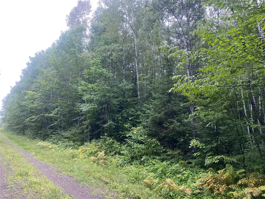 On Doland Road, Loretta, WI 54896 - #3