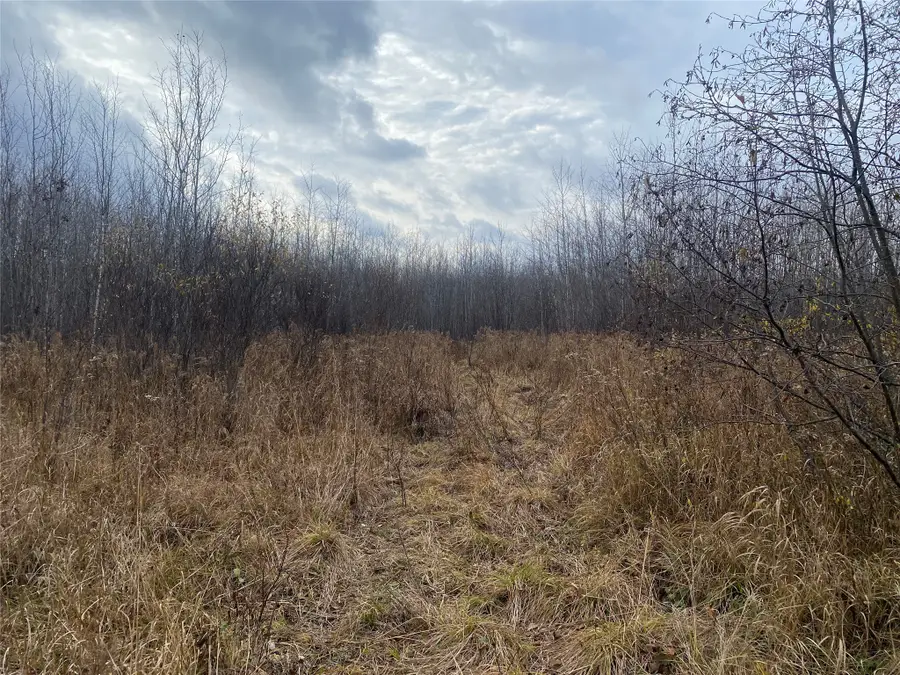 Near Timber Road, Catawba, WI 54515 - #2