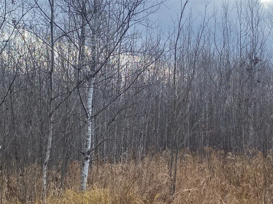 Near Timber Road, Catawba, WI 54515 - #3