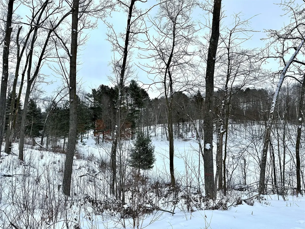 TBD 13.88 Acres Antler Lake Drive, Milltown, WI 54858 - #1