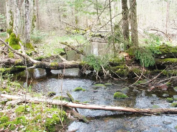 2861 29 7/16 Avenue, Birchwood, WI 54817