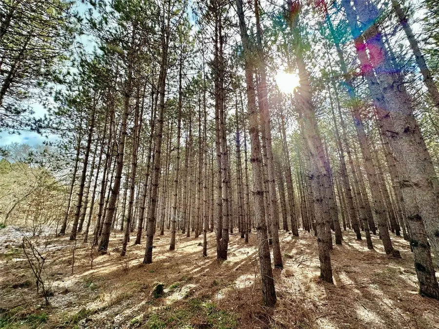 TBD 20 Acres 630th Street, Colfax, WI 54730 - #3