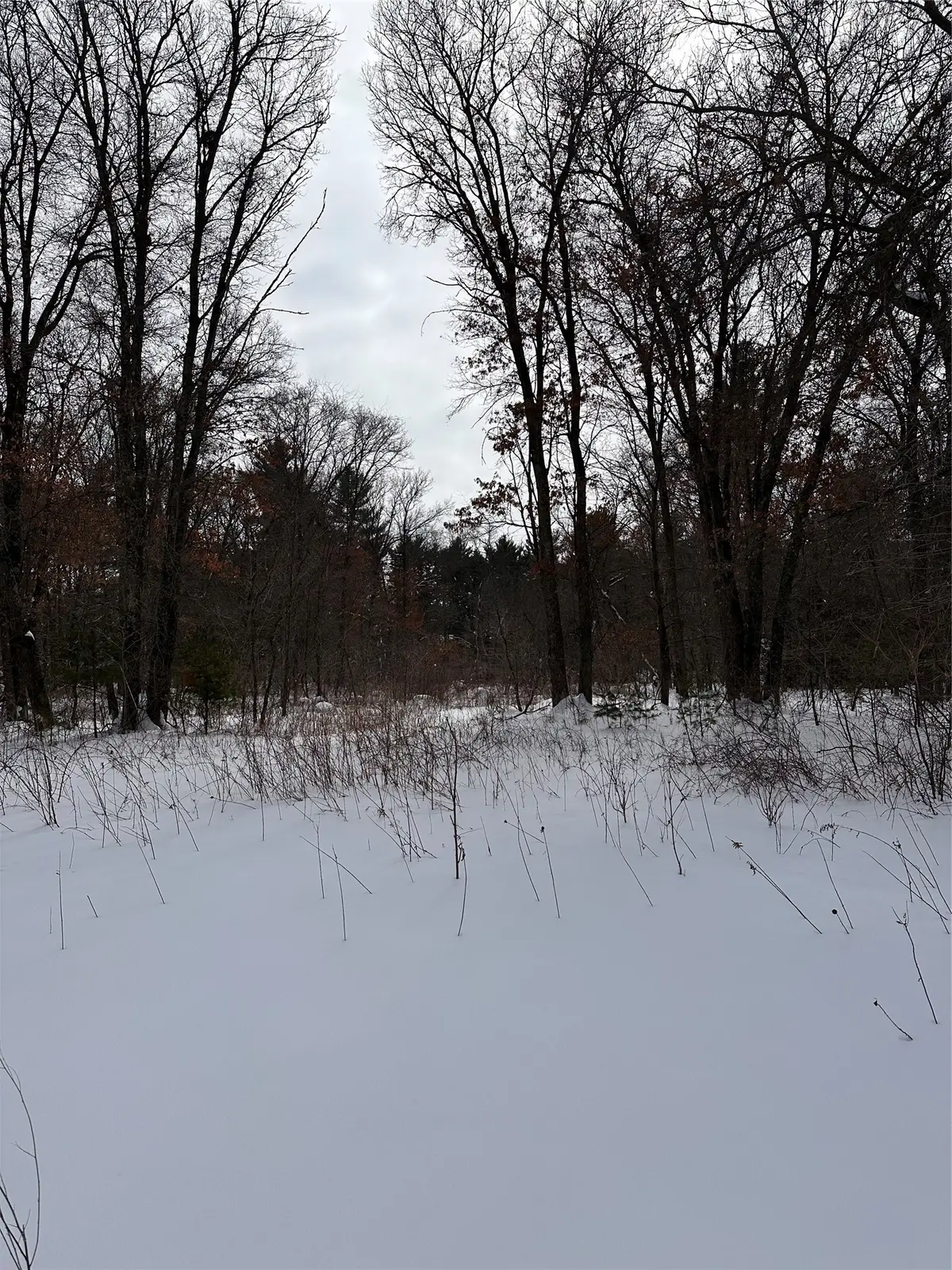 Lot 5 Creekside Court, Eau Claire, WI 54701 - #1