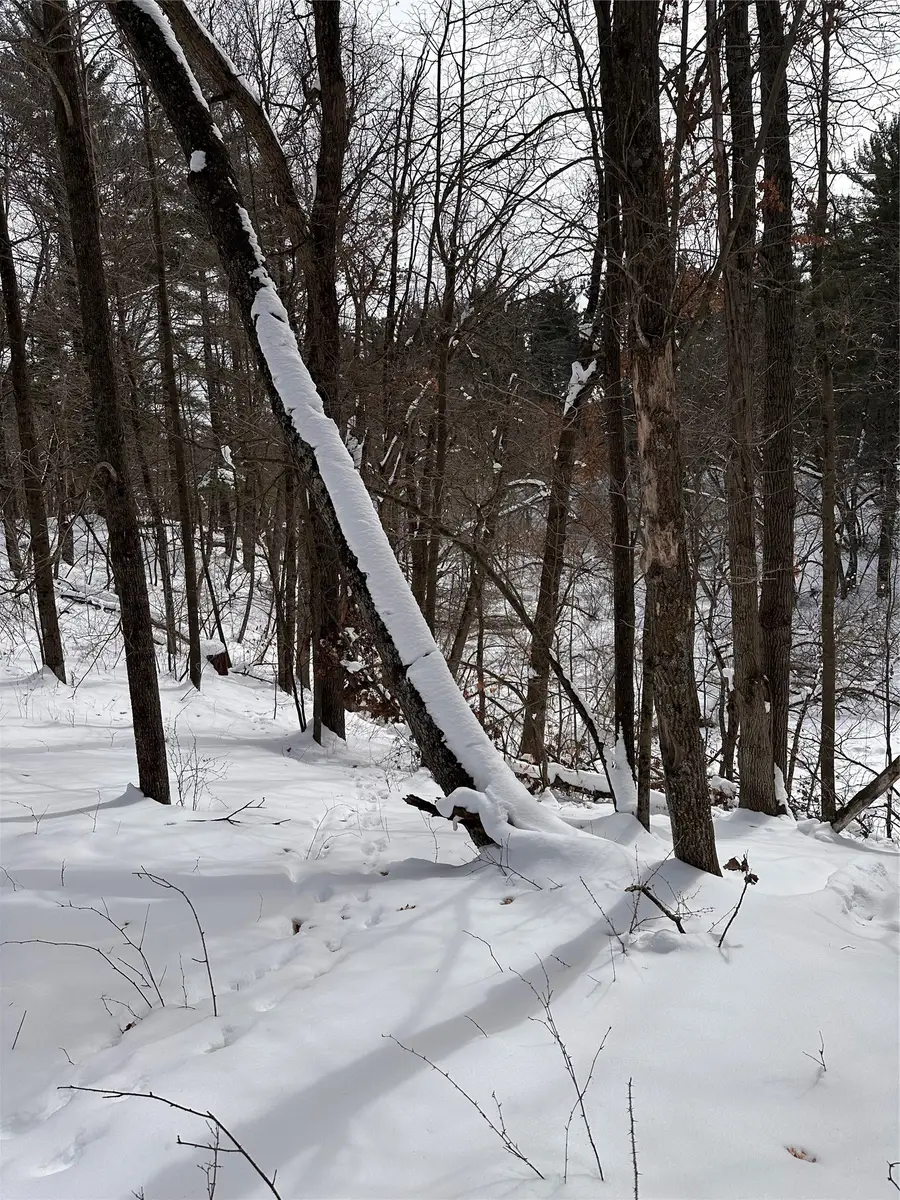 Lot 5 Creekside Court, Eau Claire, WI 54701 - #3