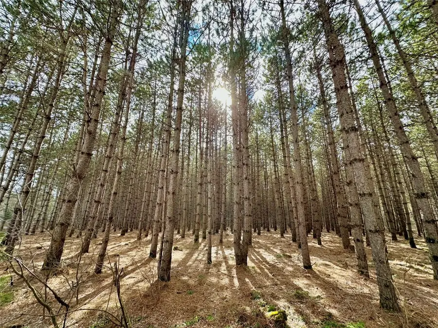 5 Acres 630th Street, Colfax, WI 54730 - #2