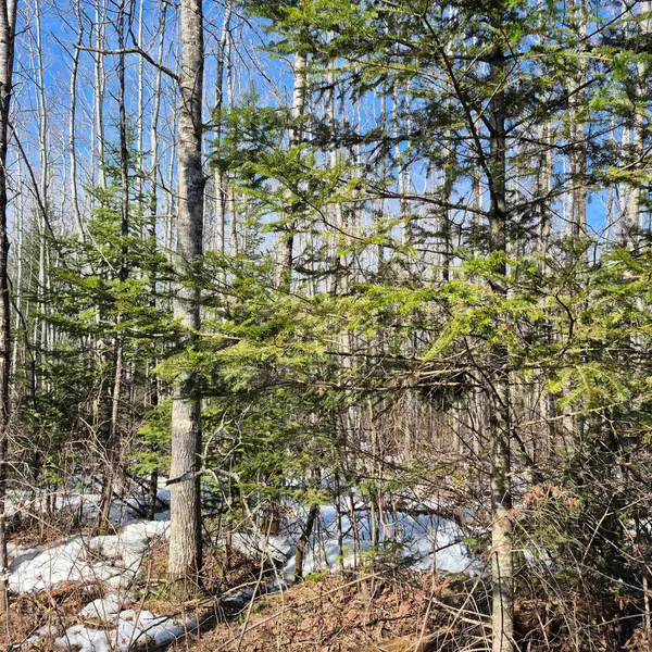 0 Us Highway 63, Hayward, WI 54843