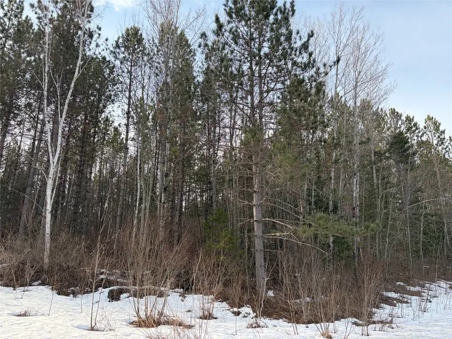 ON Barker Lake Road Road, Winter, WI 54896 - #2