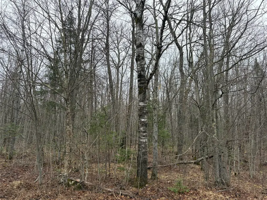 ON N Hofer Road, Couderay, WI 54828 - #2