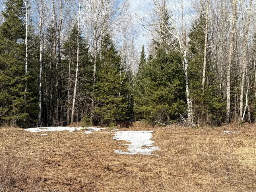 On Cth F, Park Falls, WI 54552 - #3