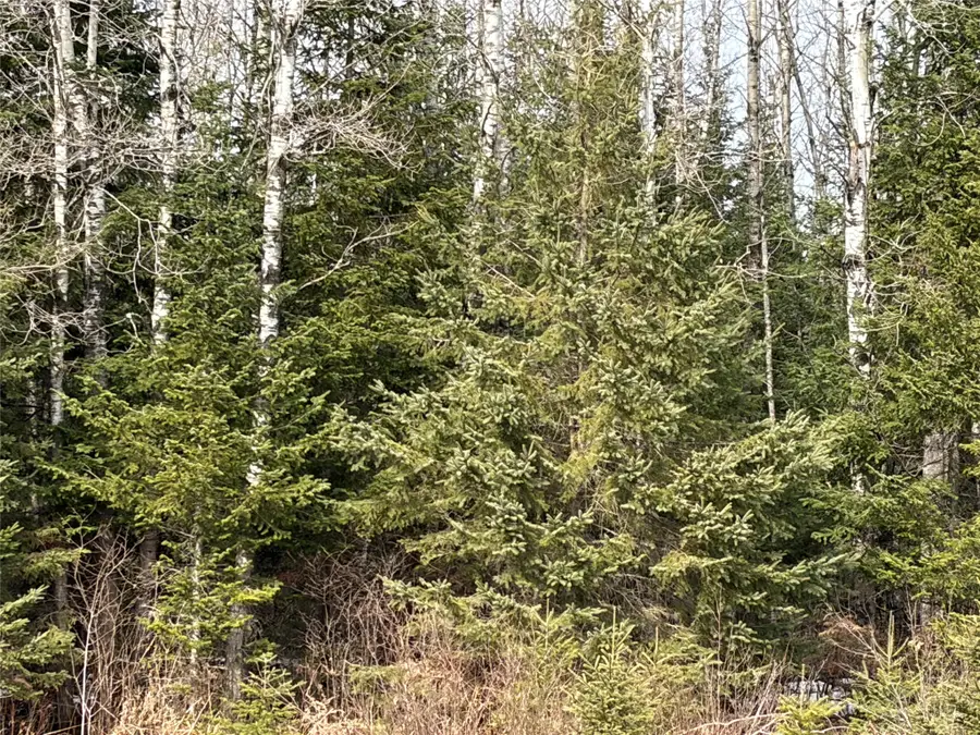 ON Cth F, Park Falls, WI 54552 - #3