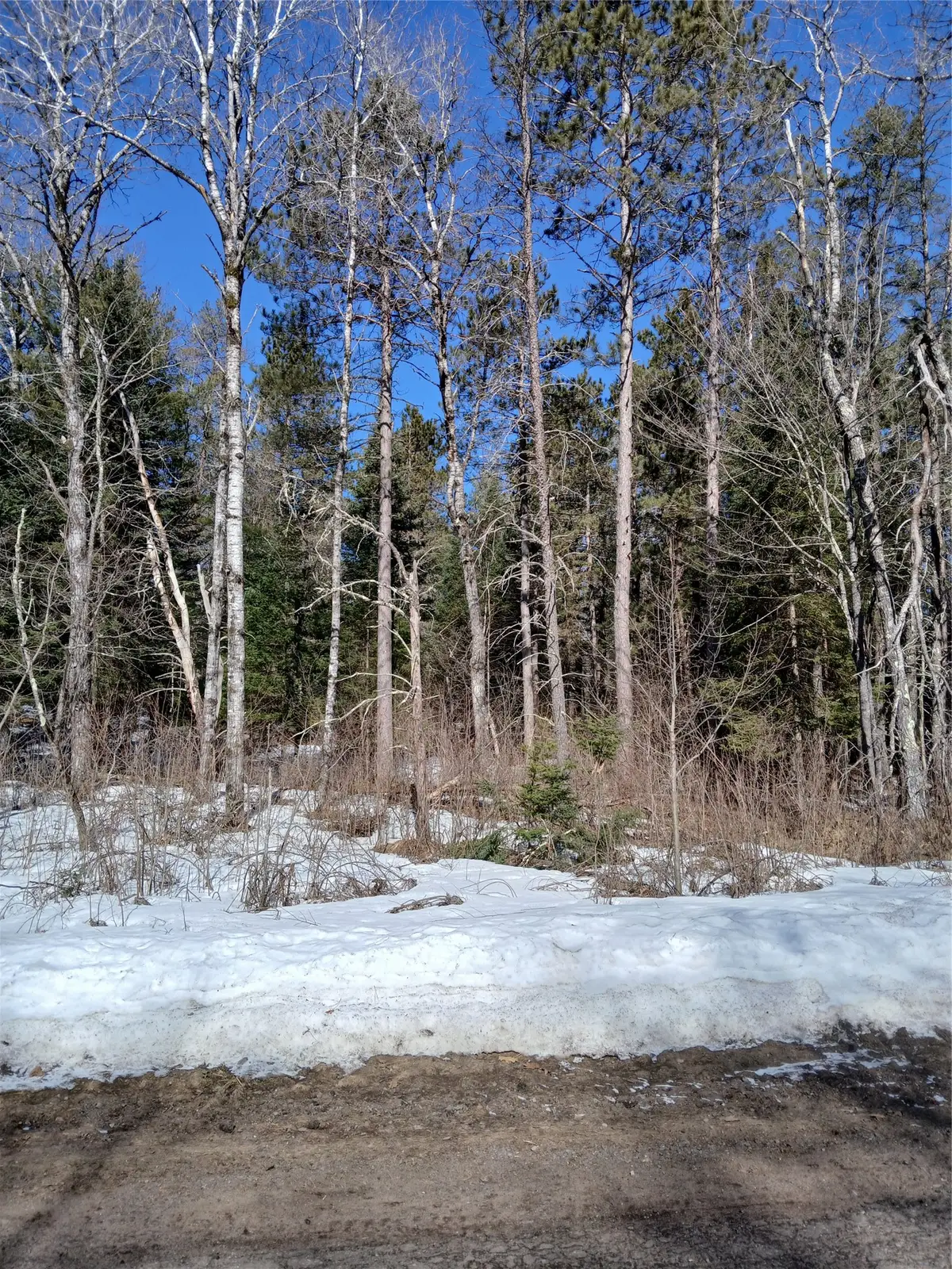 Lot 2 Lake Lodge Drive, Cable, WI 54821 - #1