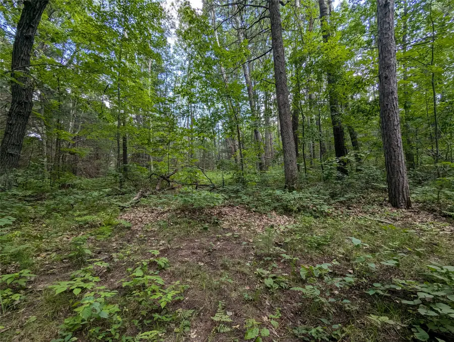 Lot 3 Fosmo, Webster, WI 54893 - #3