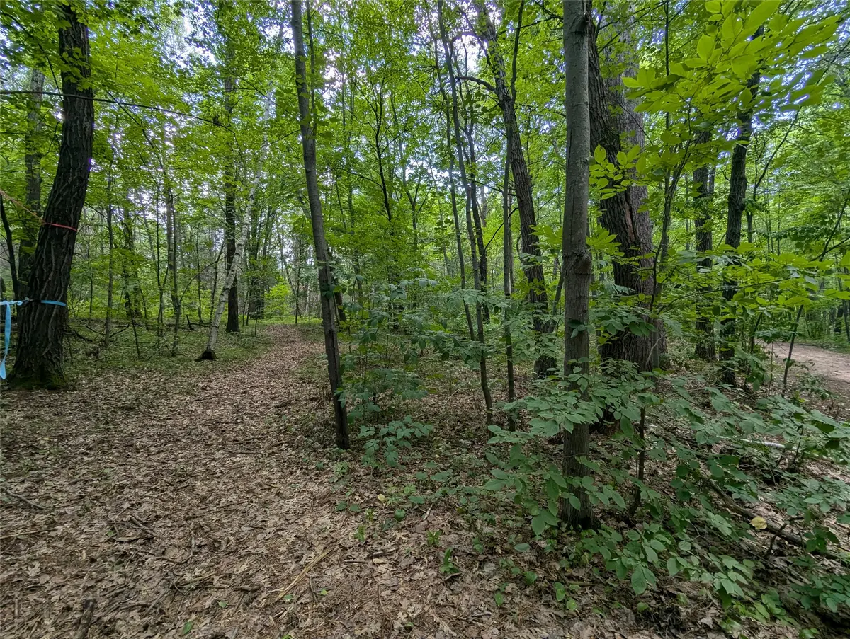 Lot 4 Fosmo, Webster, WI 54893 - #1