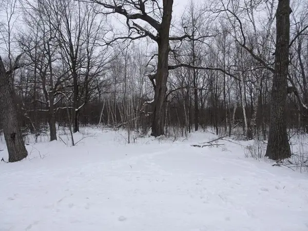 XXX 150th Street, Milltown, WI 54858