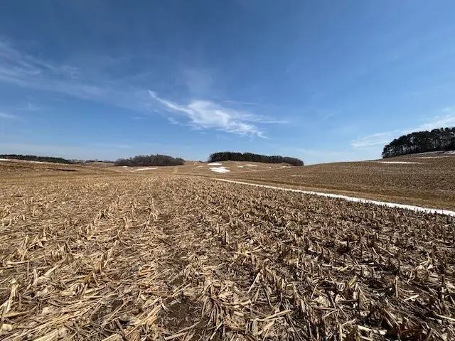 XXX Halama Road, Independence, WI 54747 - #1