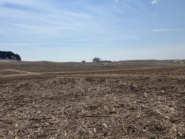 XXX Halama Road, Independence, WI 54747 - #2